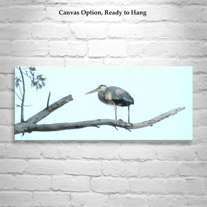 Great Blue Heron Bird Panorama Art Print | Minimalist Wall Decor