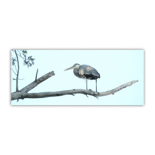Great Blue Heron Bird Panorama Art Print | Minimalist Wall Decor