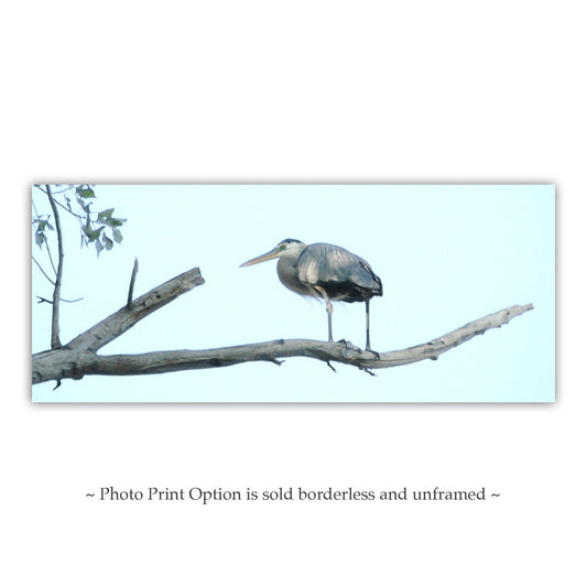 Great Blue Heron Bird Panorama Art Print | Minimalist Wall Decor