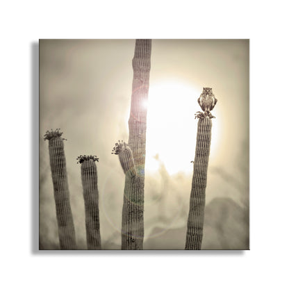 Great Horned Owl Art Print with Sonoran Desert Saguaro Cactus Sunset | Tucson Arizona Ironwood Forest Landscape Photo