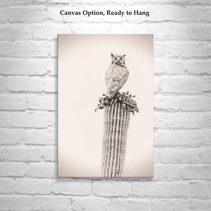 Owl Bird Artwork on Desert Cactus as Southwestern Wall Decor