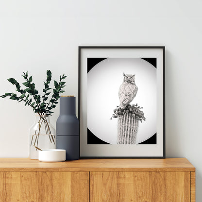 Owl Art Print as Black and White Desert Cactus Bird Artwork