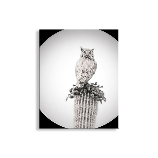 Owl Art Print as Black and White Desert Cactus Bird Artwork