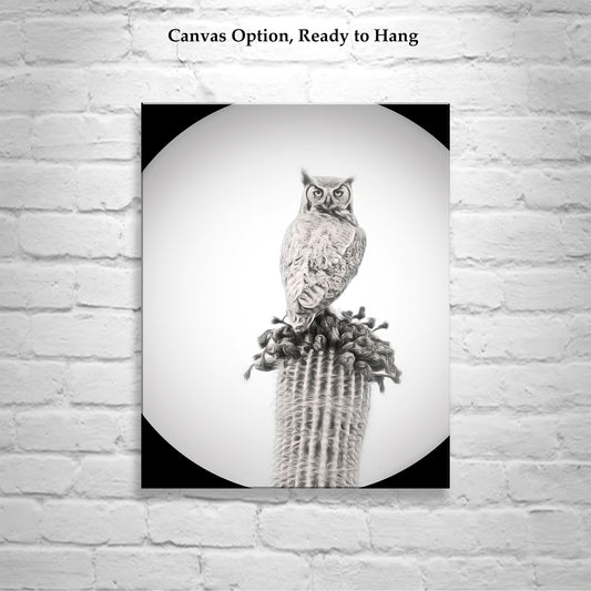 Owl Art Print as Black and White Desert Cactus Bird Artwork