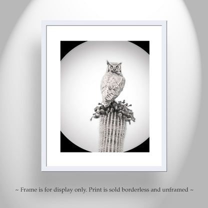 Owl Art Print as Black and White Desert Cactus Bird Artwork
