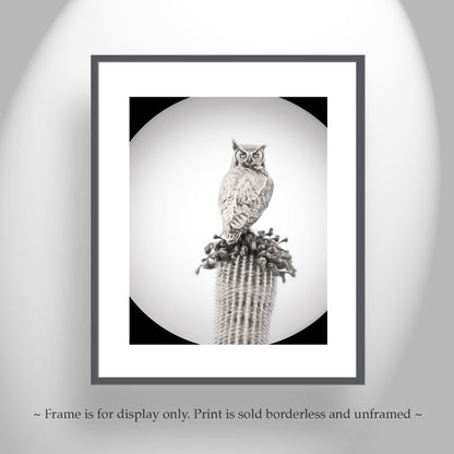 Owl Art Print as Black and White Desert Cactus Bird Artwork