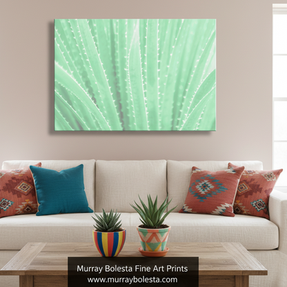 Close-up of a green leaf with detailed veins on a white background. Agave Art Print in Pastel Green as Arizona Desert Botanical Wall Decor by Murray Bolesta