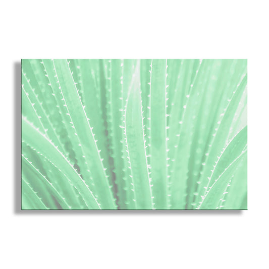 Close-up of a green leaf with detailed veins on a white background. Agave Art Print in Pastel Green as Arizona Desert Botanical Wall Decor