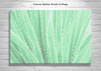 Agave Art Print in Pastel Green as Arizona Desert Botanical Wall Decor