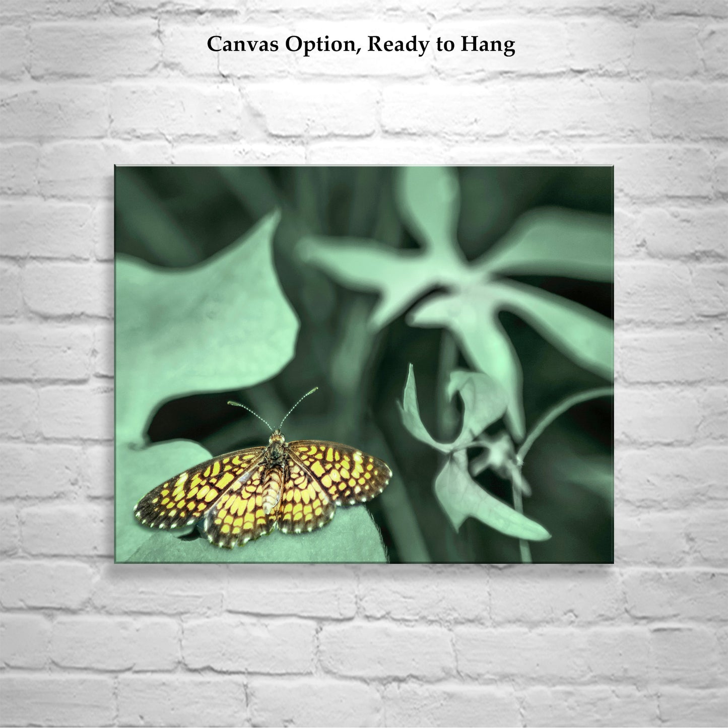 Golden Butterfly Art Photography as Nature Home Decor