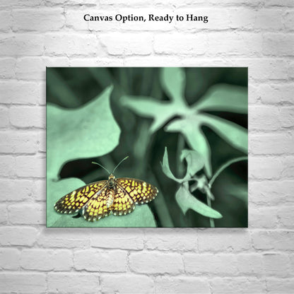 Golden Butterfly Art Photography as Nature Home Decor