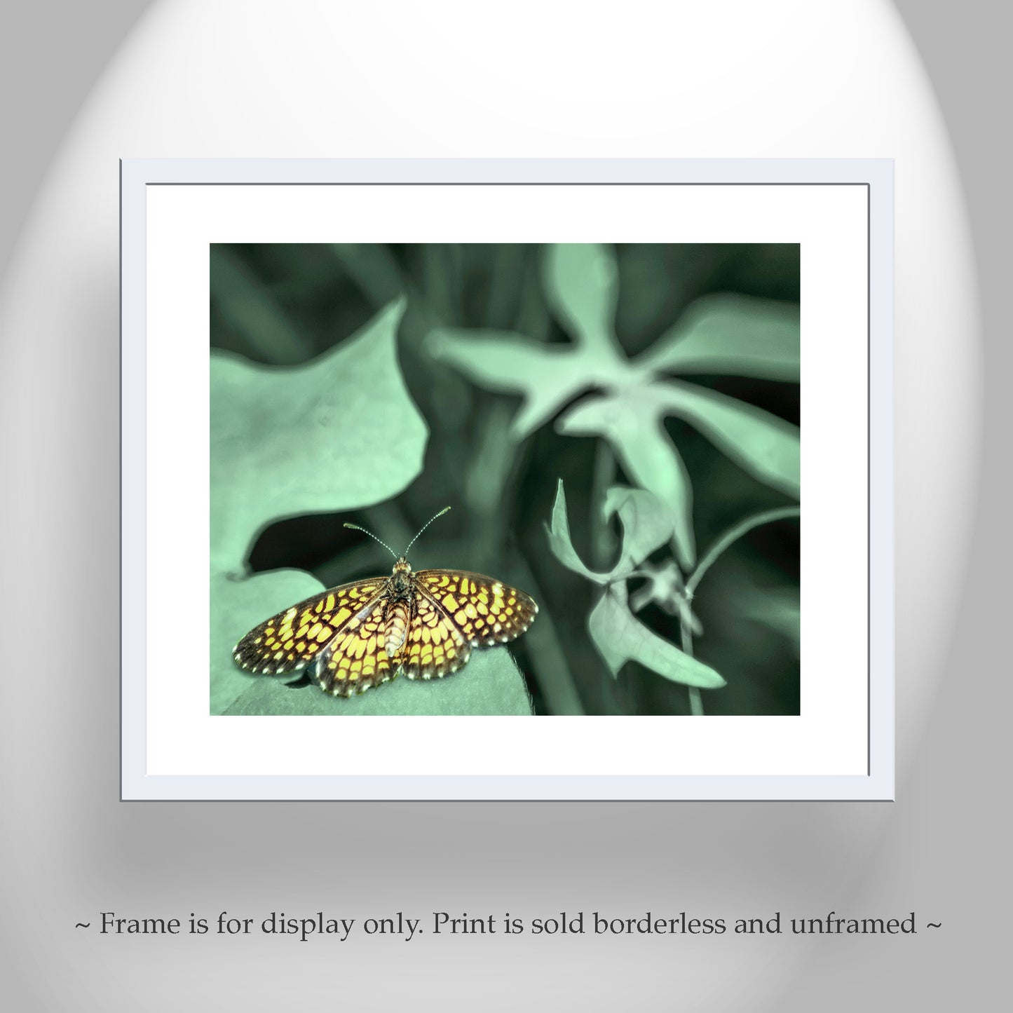 Golden Butterfly Art Photography as Nature Home Decor