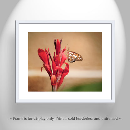 Gulf Fritillary Butterfly Picture as Arizona Insect Nature Decor Wall Art