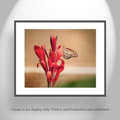 Gulf Fritillary Butterfly Picture as Arizona Insect Nature Decor Wall Art