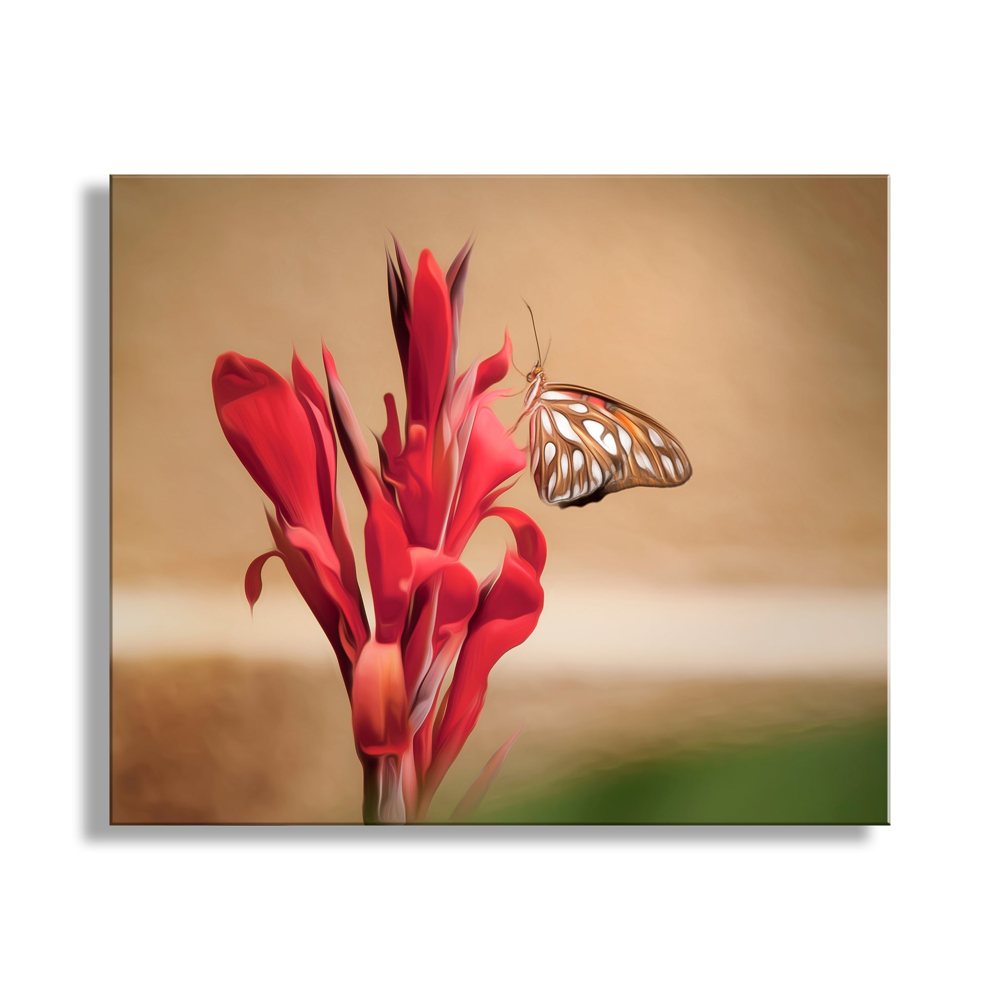 Butterfly on a red flower against a beige background. Gulf Fritillary Butterfly Picture as Arizona Insect Nature Decor Wall Art