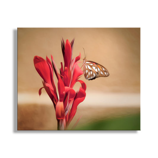 Butterfly on a red flower against a beige background. Gulf Fritillary Butterfly Picture as Arizona Insect Nature Decor Wall Art