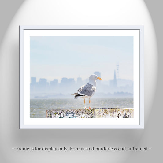 San Francisco Bay Picture with Sutro Tower and Seagull Bird