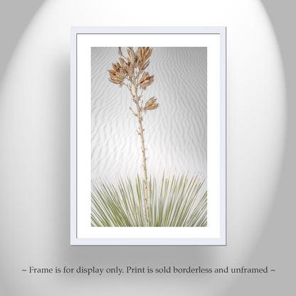 Minimalist Desert Dune Photo - Yucca Agave New Mexico Wall Art