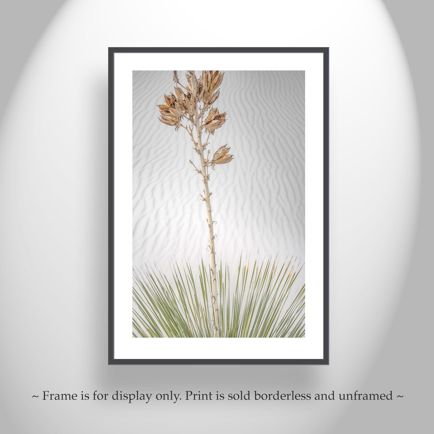 Minimalist Desert Dune Photo - Yucca Agave New Mexico Wall Art