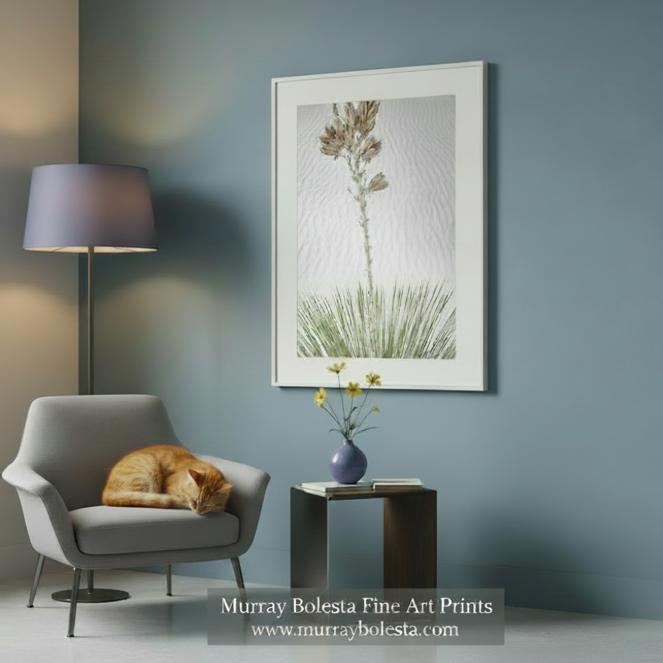 Gypsum Dune by Murray Bolesta