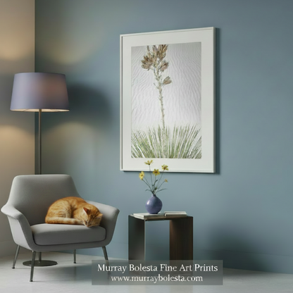 Gypsum Dune by Murray Bolesta