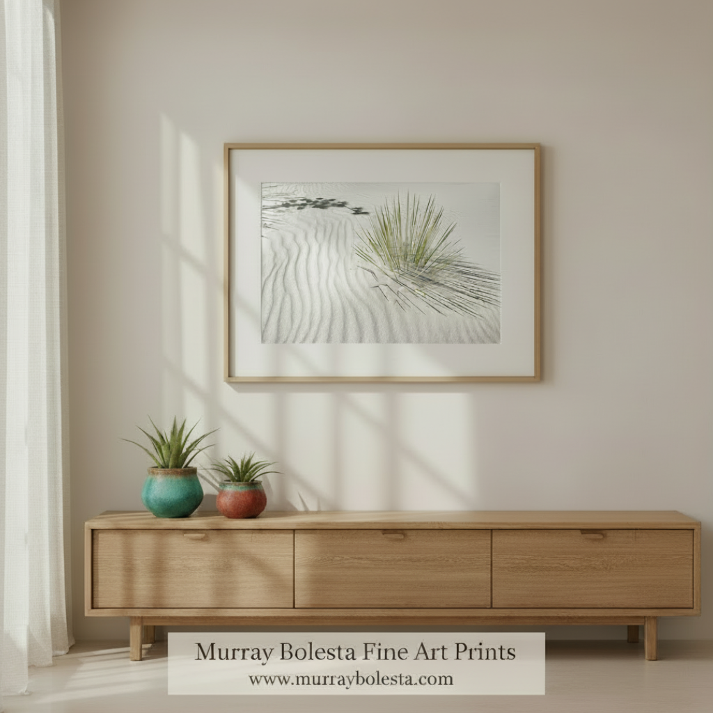 A close-up view of a desert plant with long, thin leaves, partially obscured by the rippled sand dunes in the background. Desert Agave Framed Art - White Sand Dunes New Mexico Photograph by Murray Bolesta