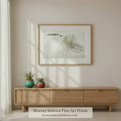 A close-up view of a desert plant with long, thin leaves, partially obscured by the rippled sand dunes in the background. Desert Agave Framed Art - White Sand Dunes New Mexico Photograph by Murray Bolesta