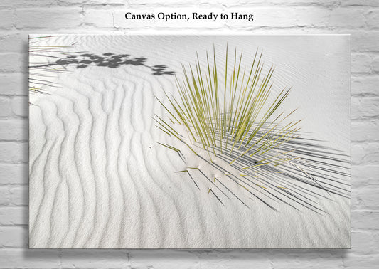 Desert Agave Framed Art for Sale with White Sand Dune in New Mexico USA