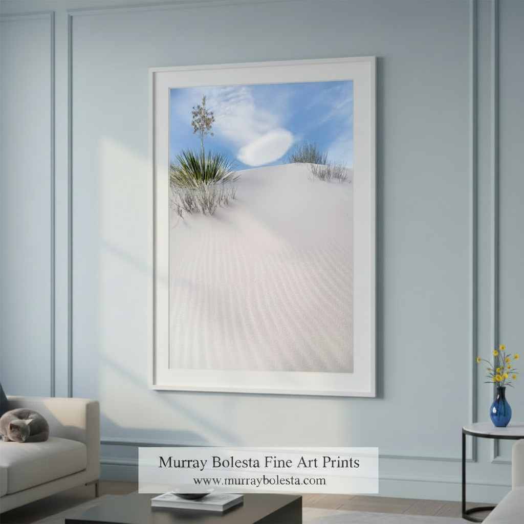 Desert Sand Dunes Nature Photography as Elegant Nature Inspired Fine Art in New Mexico with Yucca Agave by Murray Bolesta