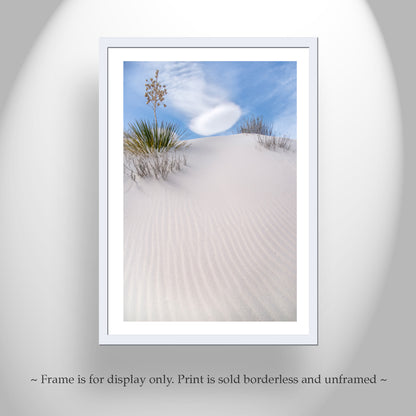 Desert Dune Photo - Yucca Agave New Mexico Minimalist Wall Art