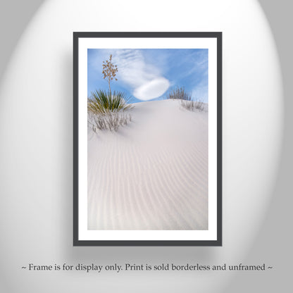 Desert Dune Photo - Yucca Agave New Mexico Minimalist Wall Art