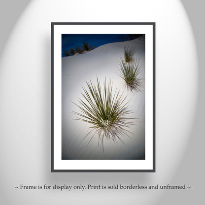 Yucca Agave Elegant Desert Art Print at New Mexico White Sand Dunes