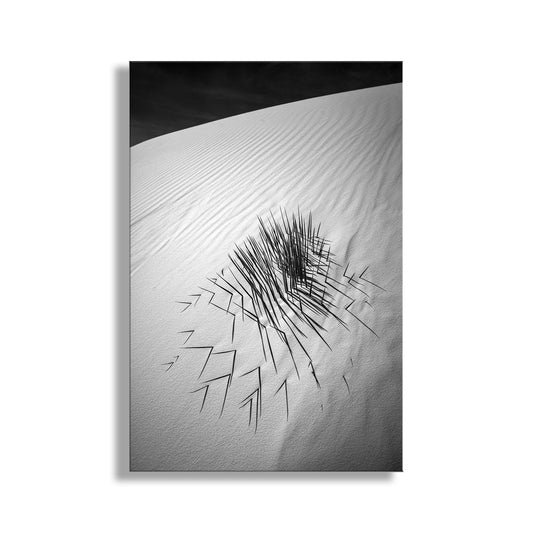 Minimalist Black and White Desert Sand Dune Print with Agave