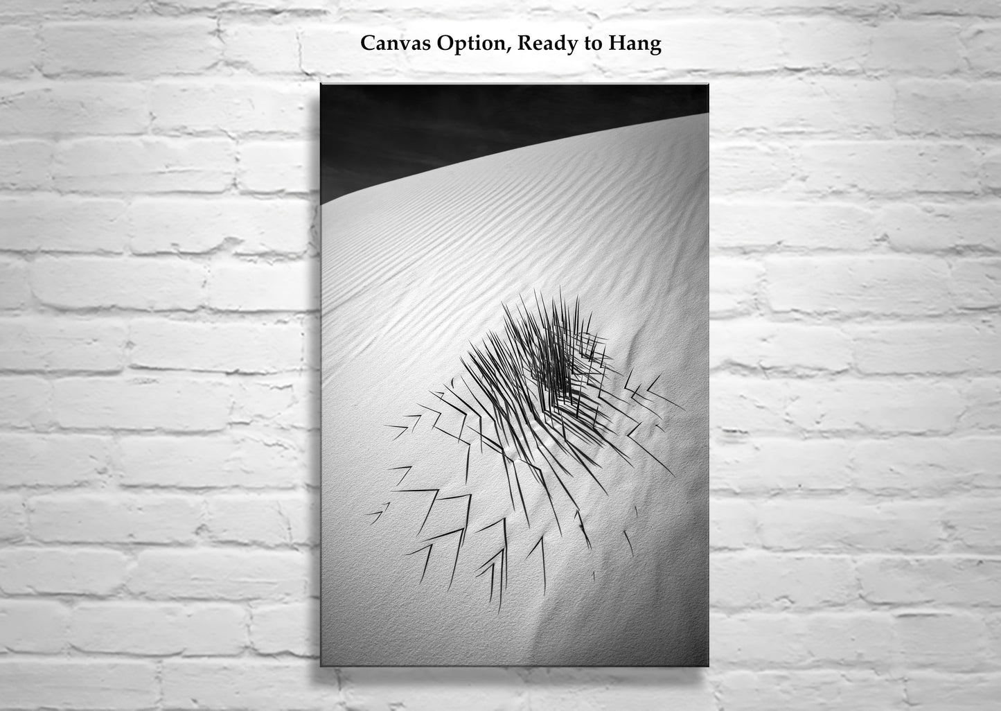 Minimalist Black and White Desert Sand Dune Print with Agave