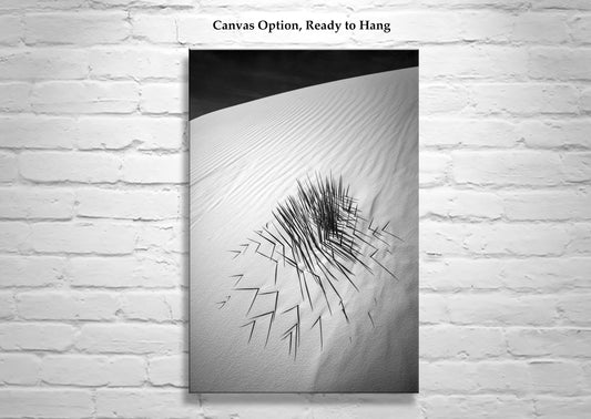 Minimalist Black and White Desert Sand Dune Print with Agave