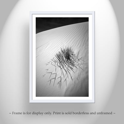 Minimalist Black and White Desert Sand Dune Print with Agave