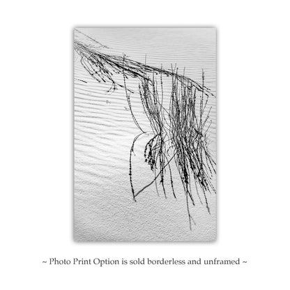 New Mexico Landscape Photo - Minimalist Wall Art with Desert Dune