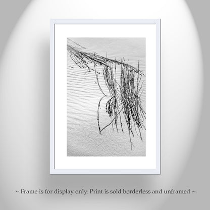 New Mexico Landscape Photo - Minimalist Wall Art with Desert Dune