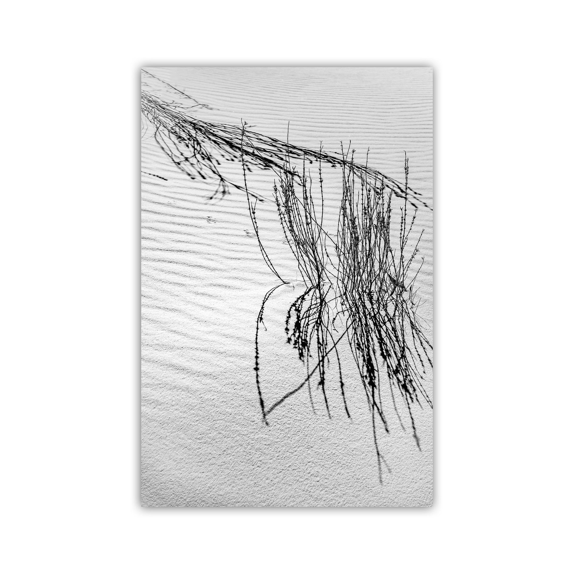 New Mexico Landscape Photograph as Minimalist Wall Art with Desert Sand Dune