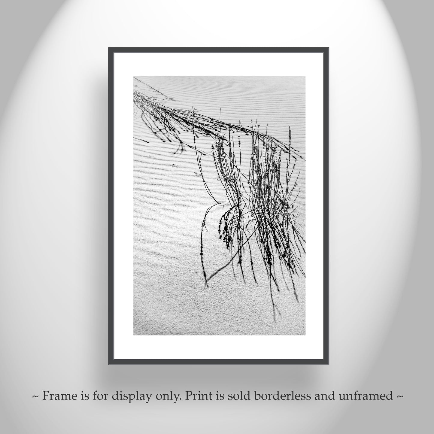 New Mexico Landscape Photo - Minimalist Wall Art with Desert Dune