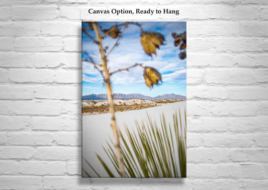 Yucca Agave Plant Art Print in New Mexico White Sands Landscape