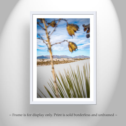 Yucca Agave Plant Art Print in New Mexico White Sands Landscape