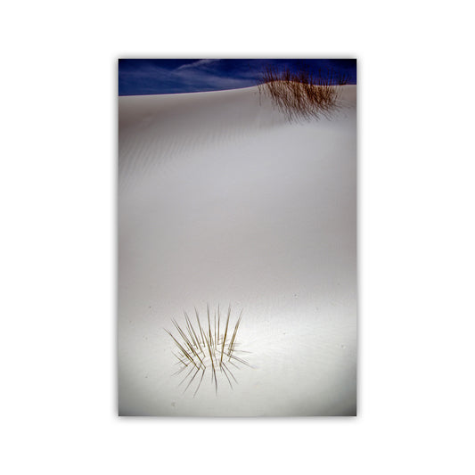 Walls of white sand with a small bush on top, under a blue sky. White Sands Night Desert Photo - New Mexico Minimalist Wall Art