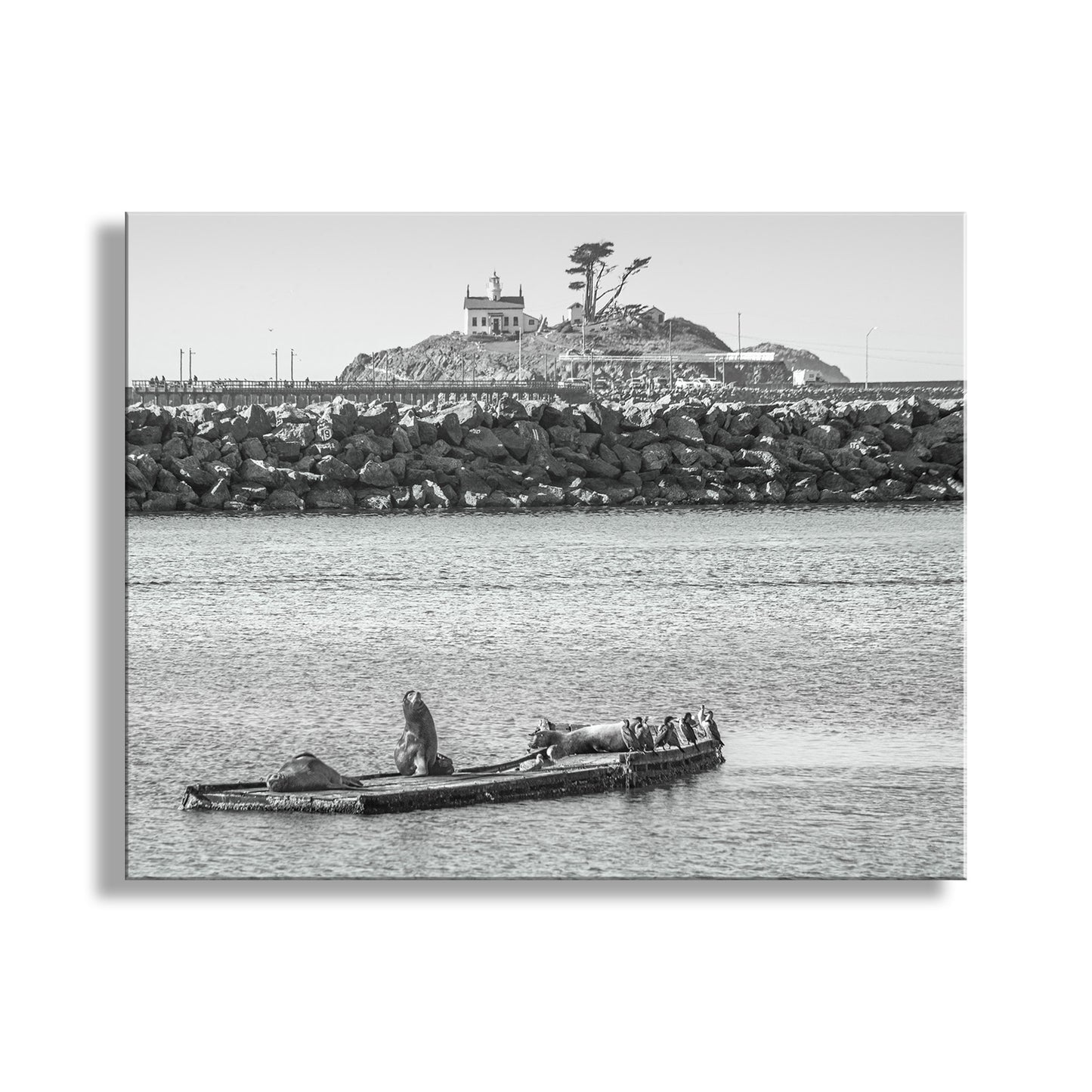 Black and white photo of a lighthouse and rocky coastline with a boat on a calm sea. Harbor Seals at Battery Point Lighthouse Crescent City California