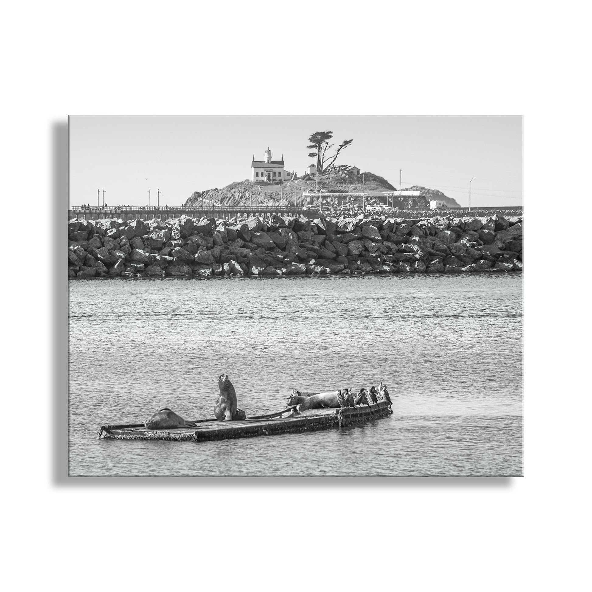 Black and white photo of a lighthouse and rocky coastline with a boat on a calm sea. Harbor Seals at Battery Point Lighthouse Crescent City California