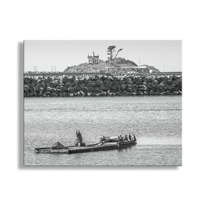 Black and white photo of a lighthouse and rocky coastline with a boat on a calm sea. Harbor Seals at Battery Point Lighthouse Crescent City California