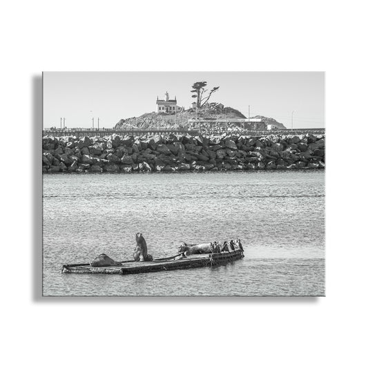 Black and white photo of a lighthouse and rocky coastline with a boat on a calm sea. Harbor Seals at Battery Point Lighthouse Crescent City California