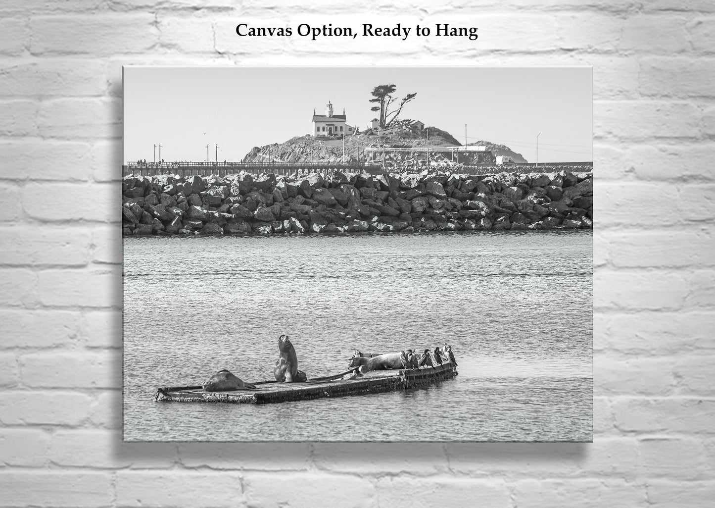 Harbor Seals Art at Battery Point Lighthouse Crescent City California