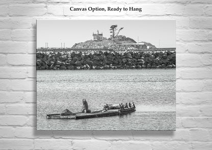 Harbor Seals Art at Battery Point Lighthouse Crescent City California