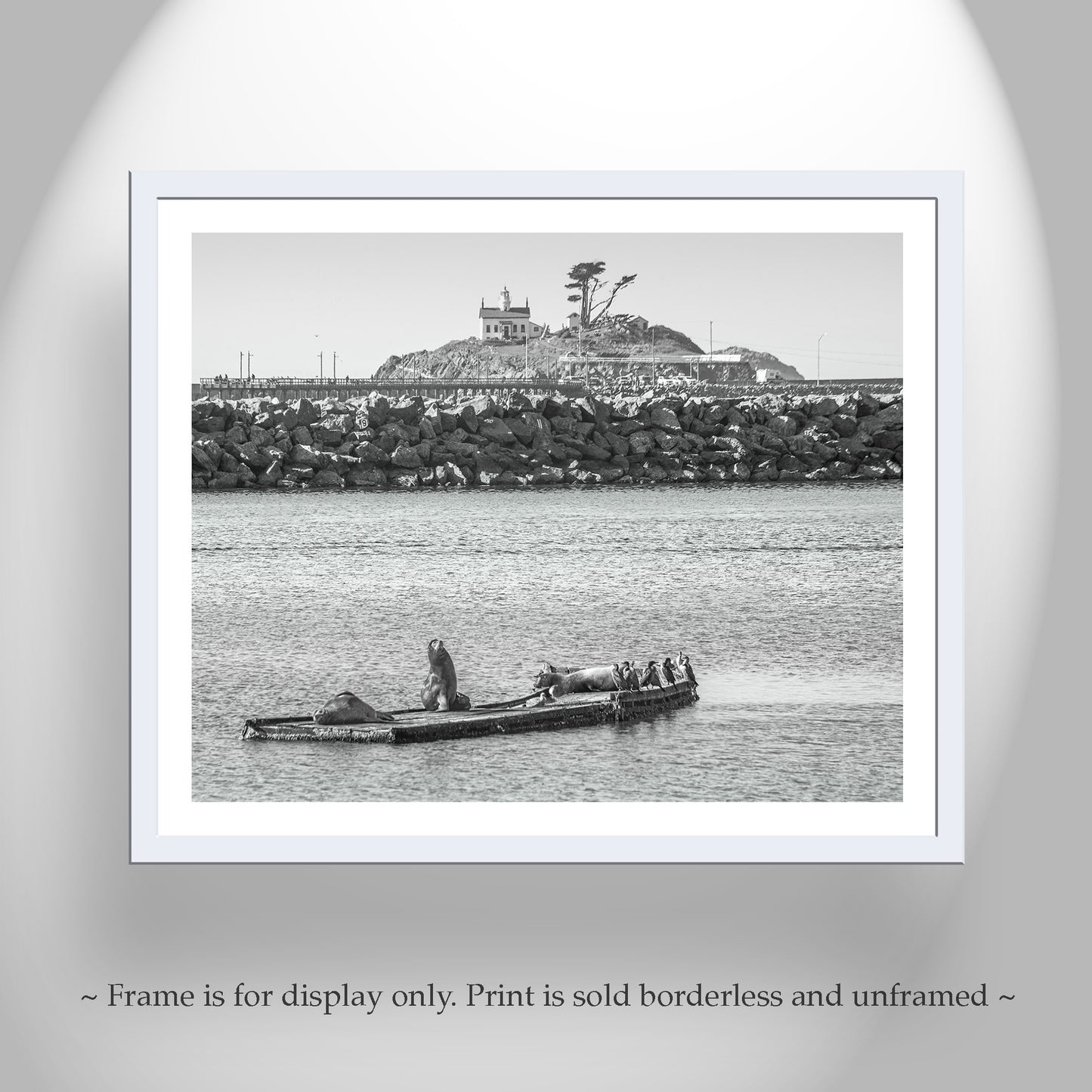 Harbor Seals Art at Battery Point Lighthouse Crescent City California